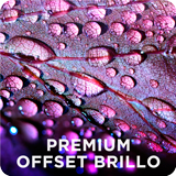 Bobina de plástico polipropileno de alta calidad Premium Offset Brillo