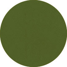 Verde aceituna bx6