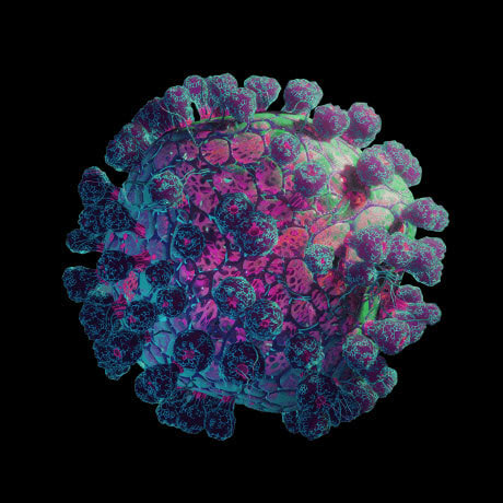 Representación gráfica de un virus
