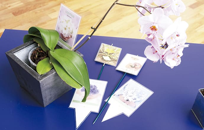 Etiquetas de flores plantadas plastificadas