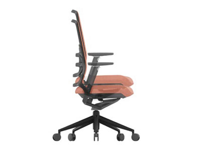 Asiento elevable