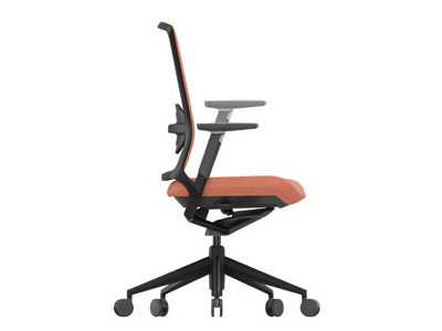 Silla con brazos elevables