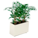 Jardineras con forma rectangular