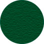 Verde texturizado RAL 3004