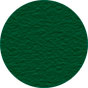 Verde texturizado RAL 3004