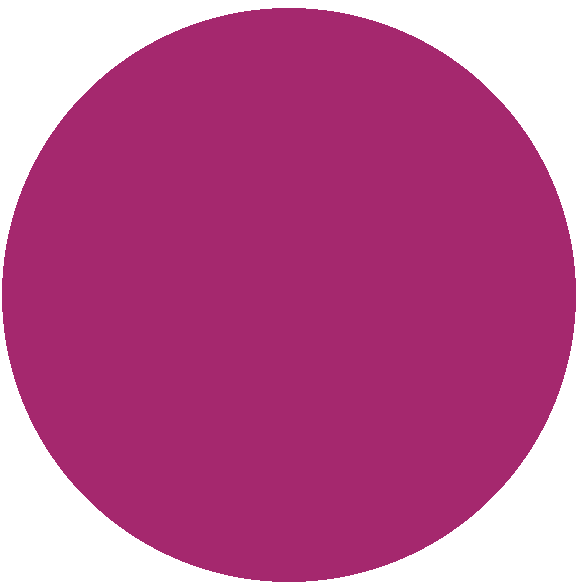 Rosa fucsia be2