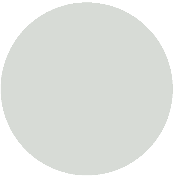 Gris York ag9