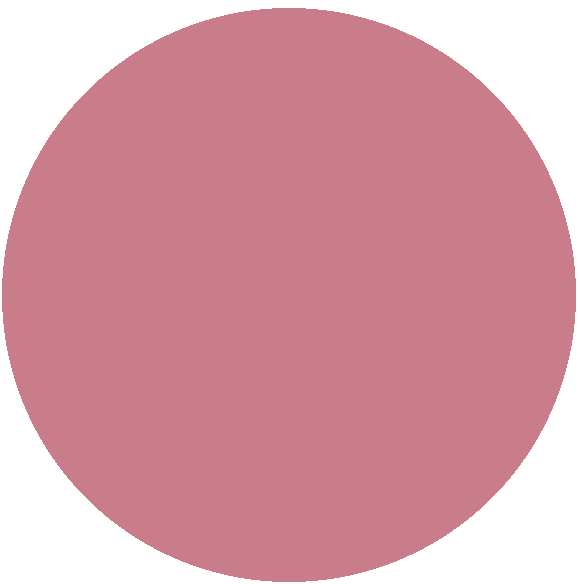 Rosa fucsia be2