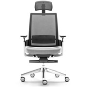 Silla negra con respaldo ergonómico de malla beige