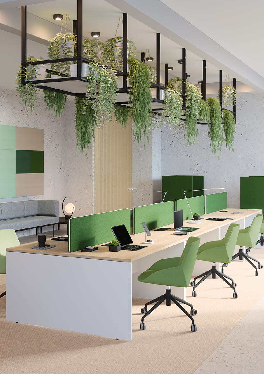 Sillas y divisorias tapizadas en verde