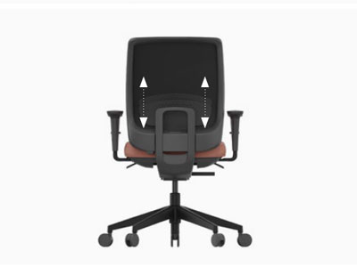 Refuerzo lumbar ajustable de la silla Trim