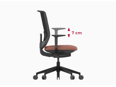 Brazos 2D regulables en altura de la silla Trim