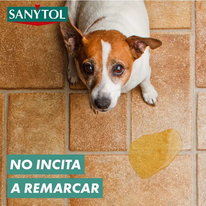 Neutraliza olores y desinfecta sin activar marcaje. Perfecto para limpiar zonas donde orinan perros o gatos sin provocar reincidencia.  