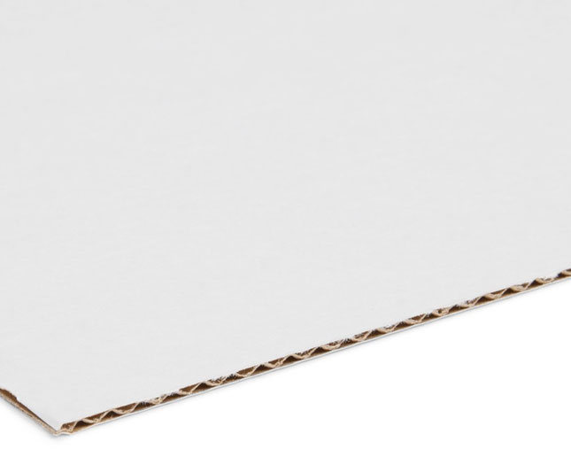 etalle del cartón microcanal reciclado en archivo definitivo