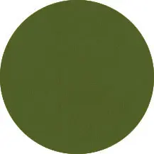 Verde oliva BX6 RAL 6003