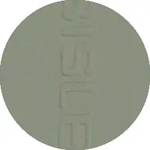 Regent AG8 NCS3005-G50Y