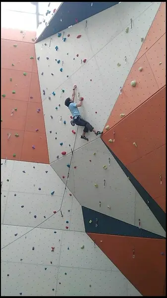 Escalador en rocódromo
