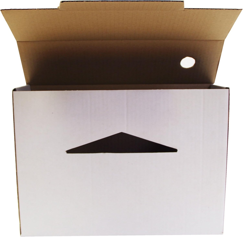 Caja de archivo definitivo cartón A4 Elba Rado