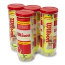 Pelotas tenis Wilson Championship Extra Duty tubo 3 unidades