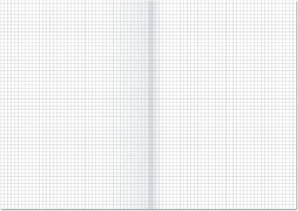 papel-cuadernillo-cuadriculado-sin-tapas.webp