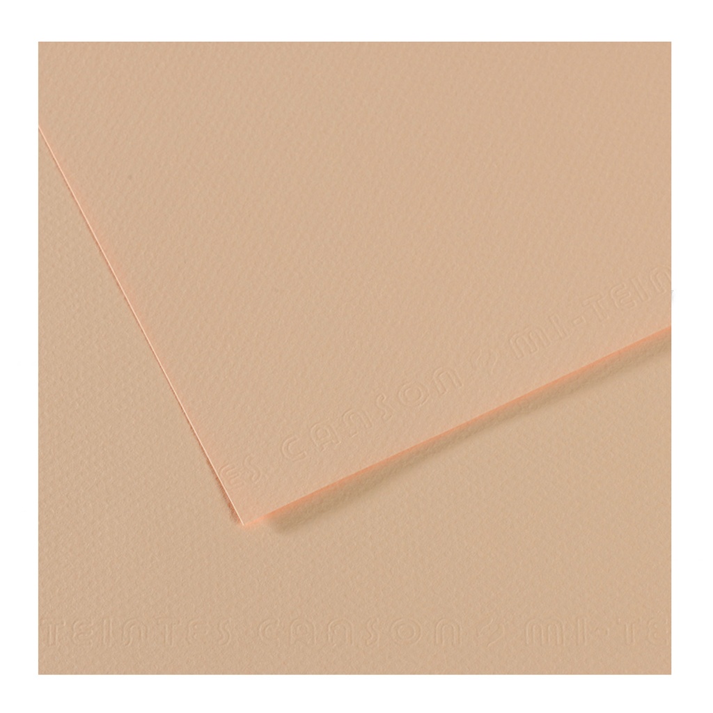 Cartulina texturada Canson Mi-Teintes Tierra de Siena 160 g 50x65 cm pack 25 hojas