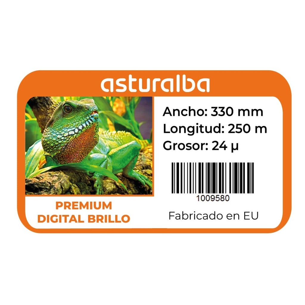 Etiqueta del rollo de film para laminar Premium Digital Brillo 24 µ 330 mm x 250 m