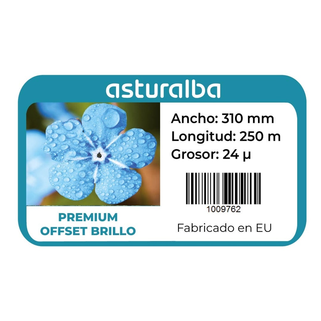 Etiqueta del rollo de film para laminar Premium Offset Brillo 24 µ 310 mm x 250 m