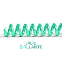 espiral-plastico-jade-metalizado.webp