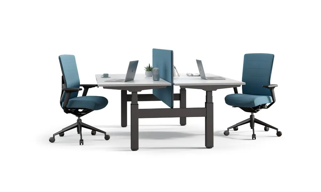 SC002_CICLORAMA_MOBILITY 2.webp