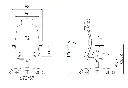 medidas-silla-skena.webp