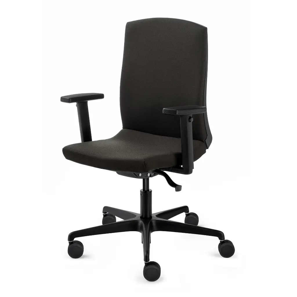 silla-flexa.webp