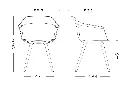 silla-noom-60-patas-madera-medidas.webp