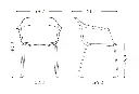 silla-noom-60-patin-medidas.webp