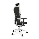 silla-tnk-flex-malla-blanca.webp