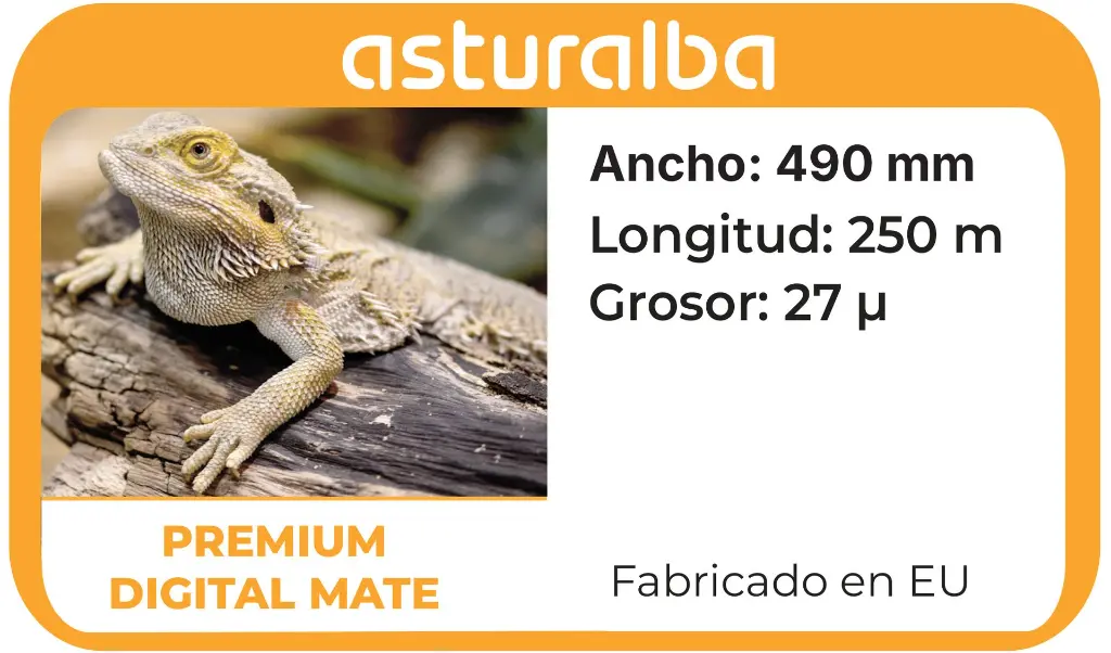etiqueta-digital-mate-490-250.webp