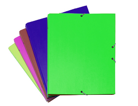 Carpeta clasificadora de gomas con 12 separadores verde Colors