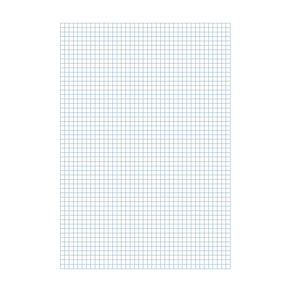 Papel cuadernillo cuadriculado 4 mm Folio (10 hojas)