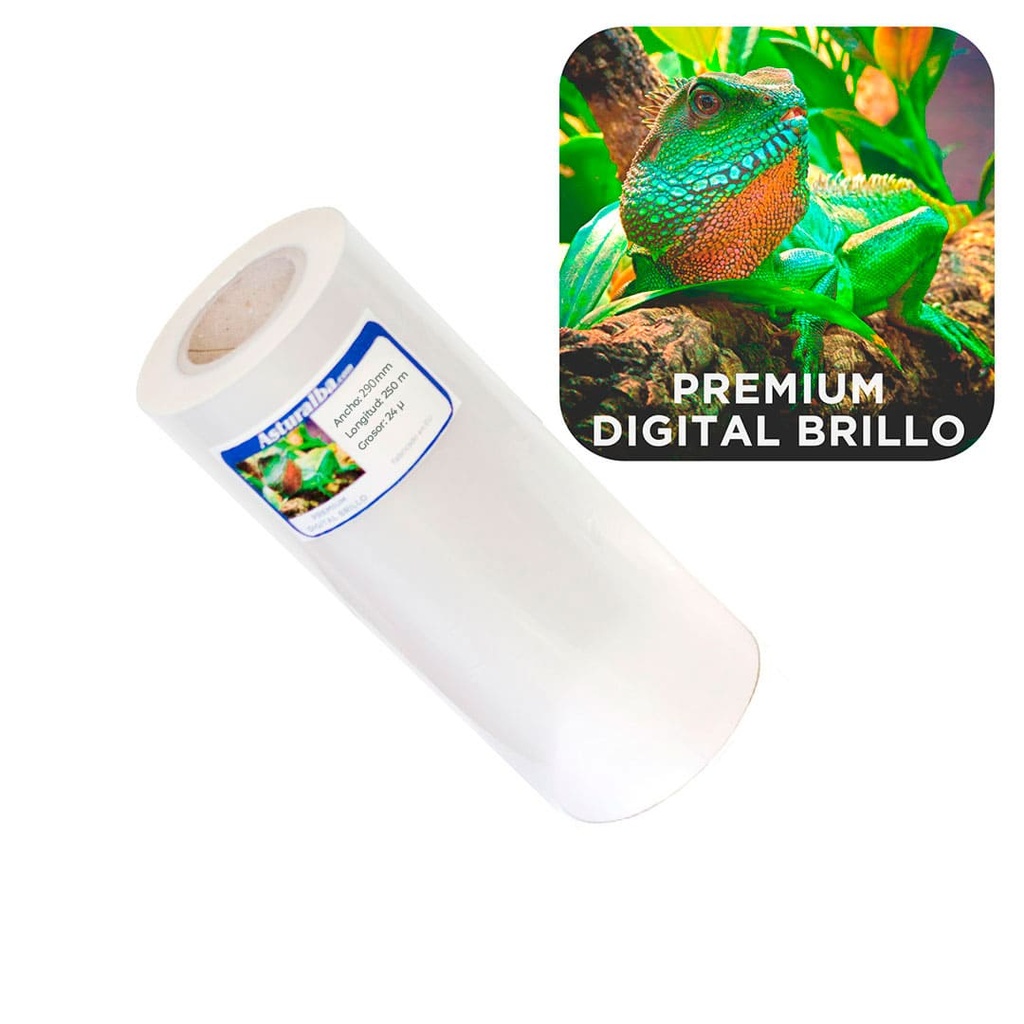 Bobina de plastificar Premium Digital Brillo 24 µ 290 mm x 250 m (Pack 4 unidades)