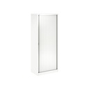 Armario metálico con puerta de persiana Bisley Essentials 1970 x 800 x 470 mm