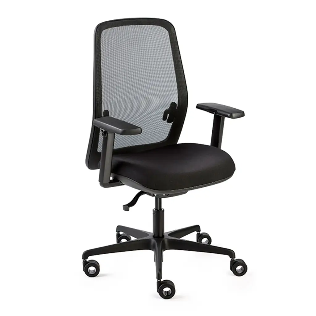 Silla Skena Express Dile