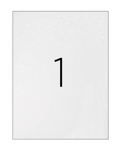 Etiquetas adhesivas A4 210 x 297 mm Fabrisa (Caja 100 hojas)