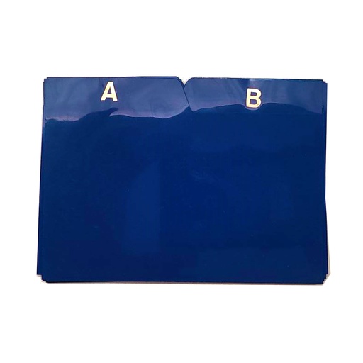 Índice separador de plástico azul para ficheros nº 2
