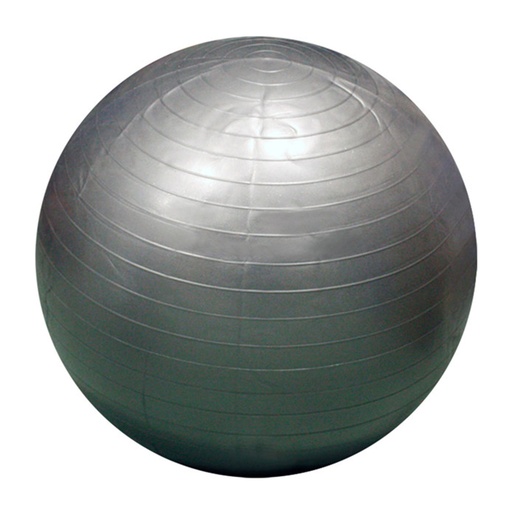 Pelota Gigante 75 cm Gris Jim Sports