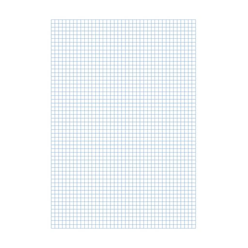Papel cuadernillo cuadriculado 4 mm Folio (10 hojas)