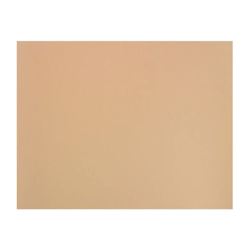 Cartulina 50 x 65 cm texturada para dibujo Tierra de Siena 160 g/m² Canson Mi-Teintes (Pack 25 unidades)