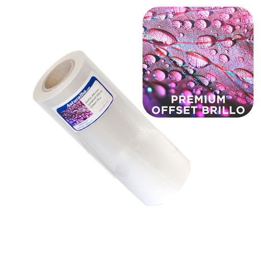 Bobina de plastificar Premium Offset Brillo 24 µ 310 mm x 250 m (Pack 4 unidades)